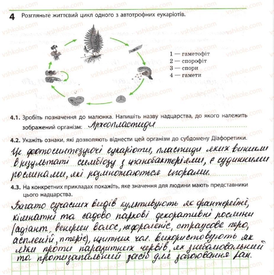 10-biologiya-km-zadorozhnij-2018-robochij-zoshit--tema-1-bioriznomanittya-avtotrofni-eukarioti-4.jpg