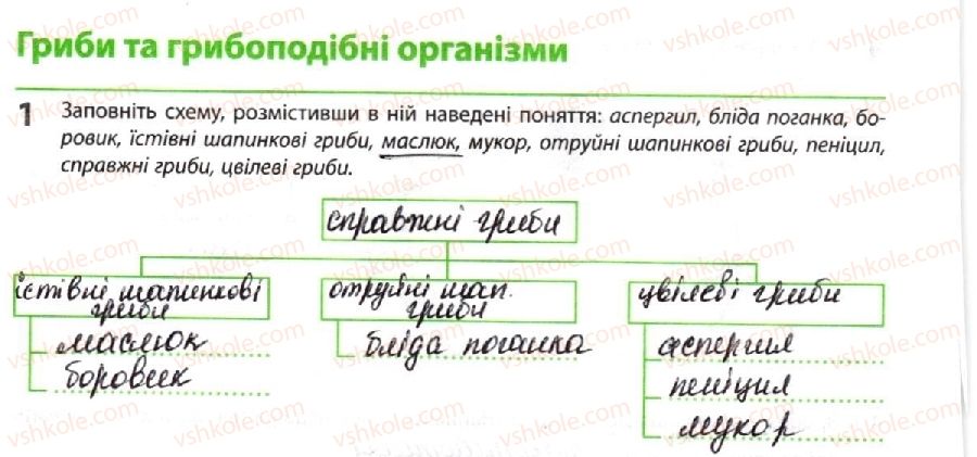 10-biologiya-km-zadorozhnij-2018-robochij-zoshit--tema-1-bioriznomanittya-gribi-ta-gribopodibni-organizmi-1.jpg