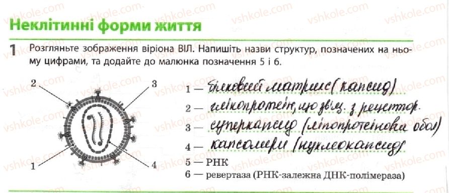 10-biologiya-km-zadorozhnij-2018-robochij-zoshit--tema-1-bioriznomanittya-neklitinni-formi-zhittya-1.jpg