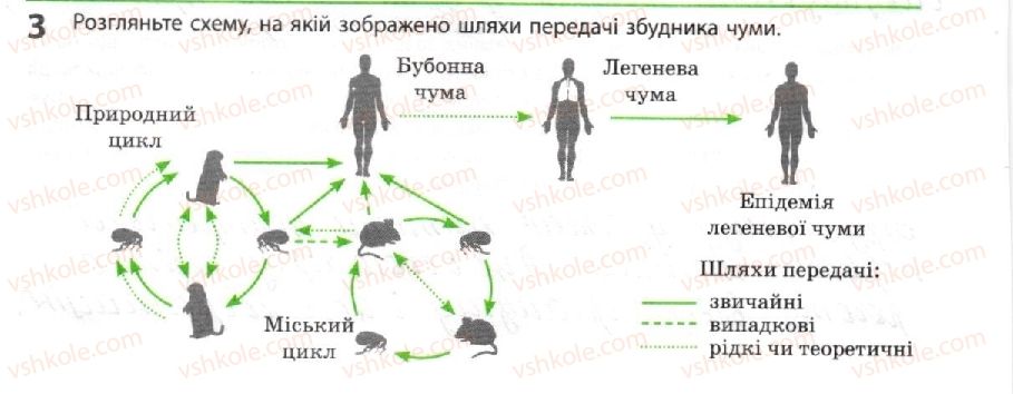 10-biologiya-km-zadorozhnij-2018-robochij-zoshit--tema-1-bioriznomanittya-prokariotichni-organizmi-3.jpg
