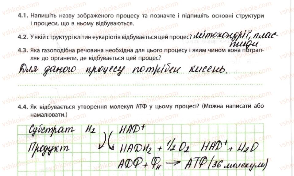 10-biologiya-km-zadorozhnij-2018-robochij-zoshit--tema-2-obmin-rechovin-i-peretvorennya-energiyi-energetichne-zabezpechennya-metabolizmu-4-rnd594.jpg