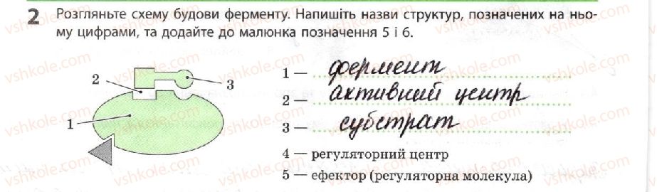 10-biologiya-km-zadorozhnij-2018-robochij-zoshit--tema-2-obmin-rechovin-i-peretvorennya-energiyi-fermenti-vitamini-2.jpg