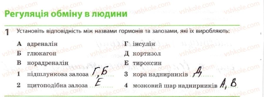 10-biologiya-km-zadorozhnij-2018-robochij-zoshit--tema-2-obmin-rechovin-i-peretvorennya-energiyi-regulyatsiya-obminu-v-lyudini-1.jpg
