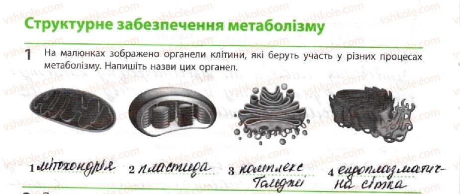 10-biologiya-km-zadorozhnij-2018-robochij-zoshit--tema-2-obmin-rechovin-i-peretvorennya-energiyi-strukturne-zabezpechennya-metabolizmu-1.jpg