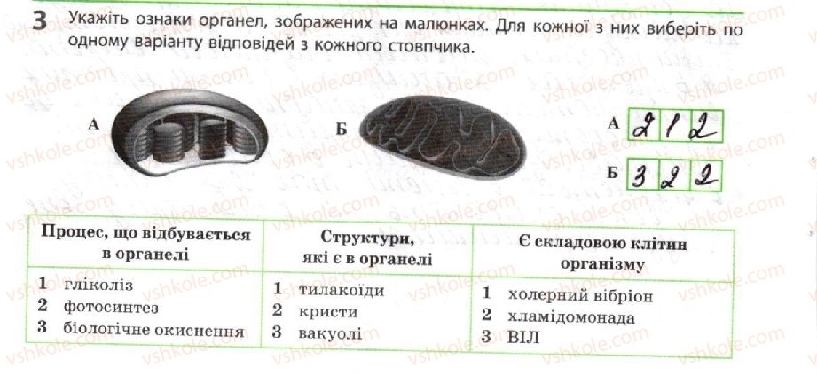 10-biologiya-km-zadorozhnij-2018-robochij-zoshit--tema-2-obmin-rechovin-i-peretvorennya-energiyi-strukturne-zabezpechennya-metabolizmu-3.jpg