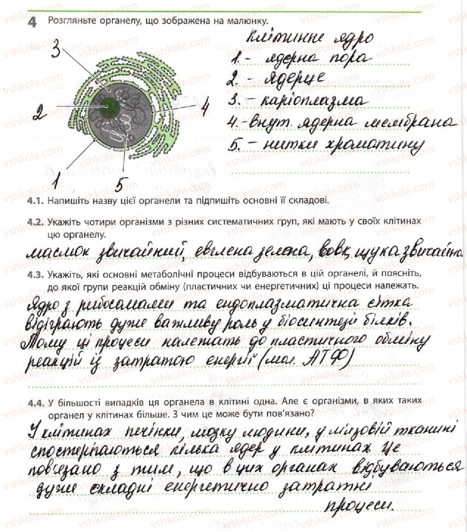 10-biologiya-km-zadorozhnij-2018-robochij-zoshit--tema-2-obmin-rechovin-i-peretvorennya-energiyi-strukturne-zabezpechennya-metabolizmu-4.jpg