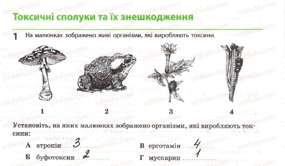 10-biologiya-km-zadorozhnij-2018-robochij-zoshit--tema-2-obmin-rechovin-i-peretvorennya-energiyi-toksichni-spoluki-ta-yih-zneshkodzhennya-1.jpg