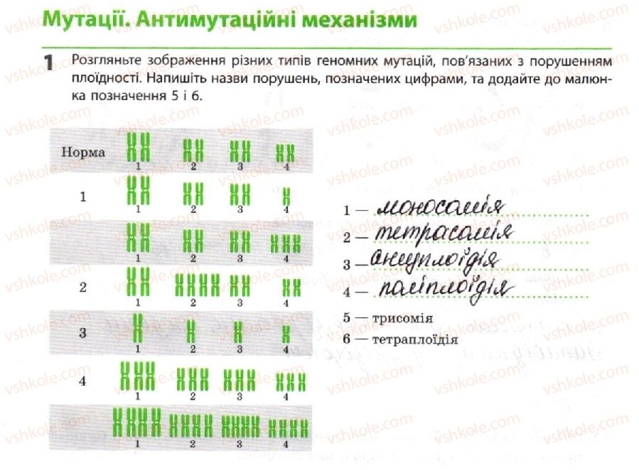 10-biologiya-km-zadorozhnij-2018-robochij-zoshit--tema-3-spadkovist-i-minlivist-mutatsiyi-antimutatsijni-mehanizmi-1.jpg