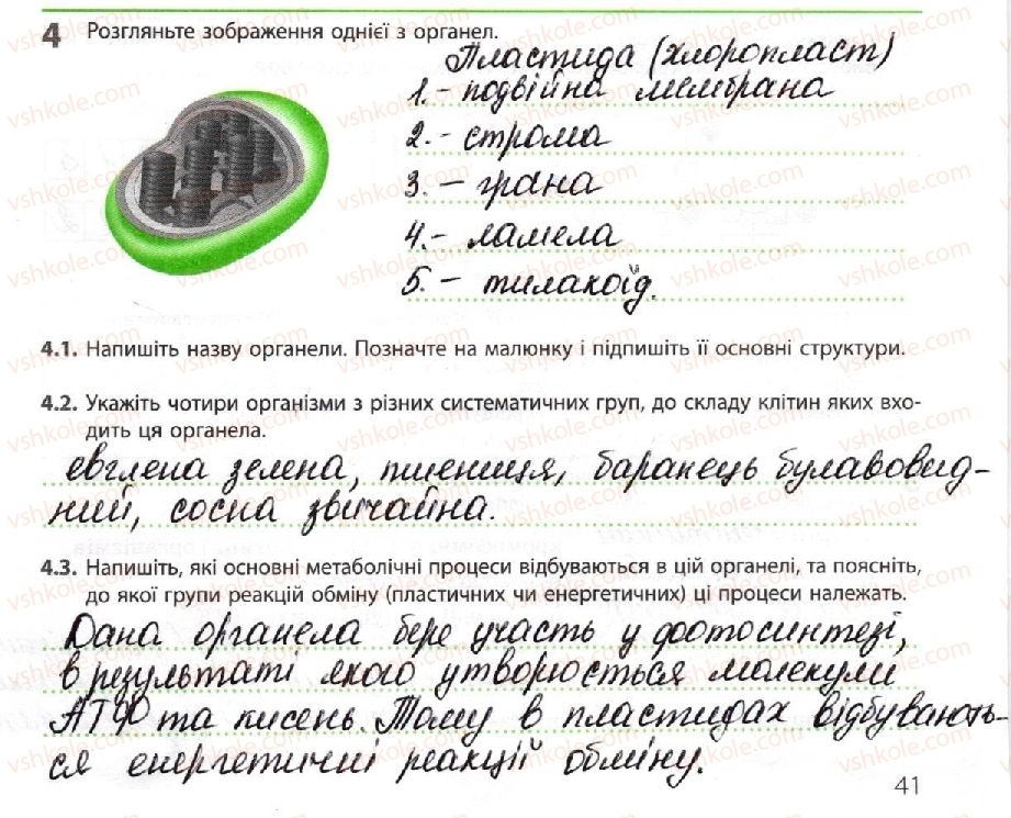 10-biologiya-km-zadorozhnij-2018-robochij-zoshit--uzagalnennya-znan-za-i-semestr-4.jpg