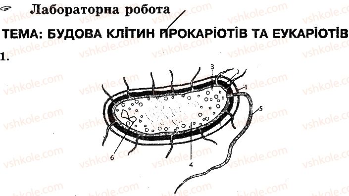10-biologiya-oa-anderson-tk-vihrenko-2010-robochij-zoshit--klitina-storinka-38-1.jpg