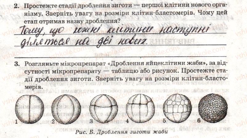 10-biologiya-to-salo-lv-derevinska-2018-zoshit-dlya-laboratornih-i-praktichnih-robit--laboratorna-robota-4-vivchennya-etapiv-embriogenezu-стр42.jpg