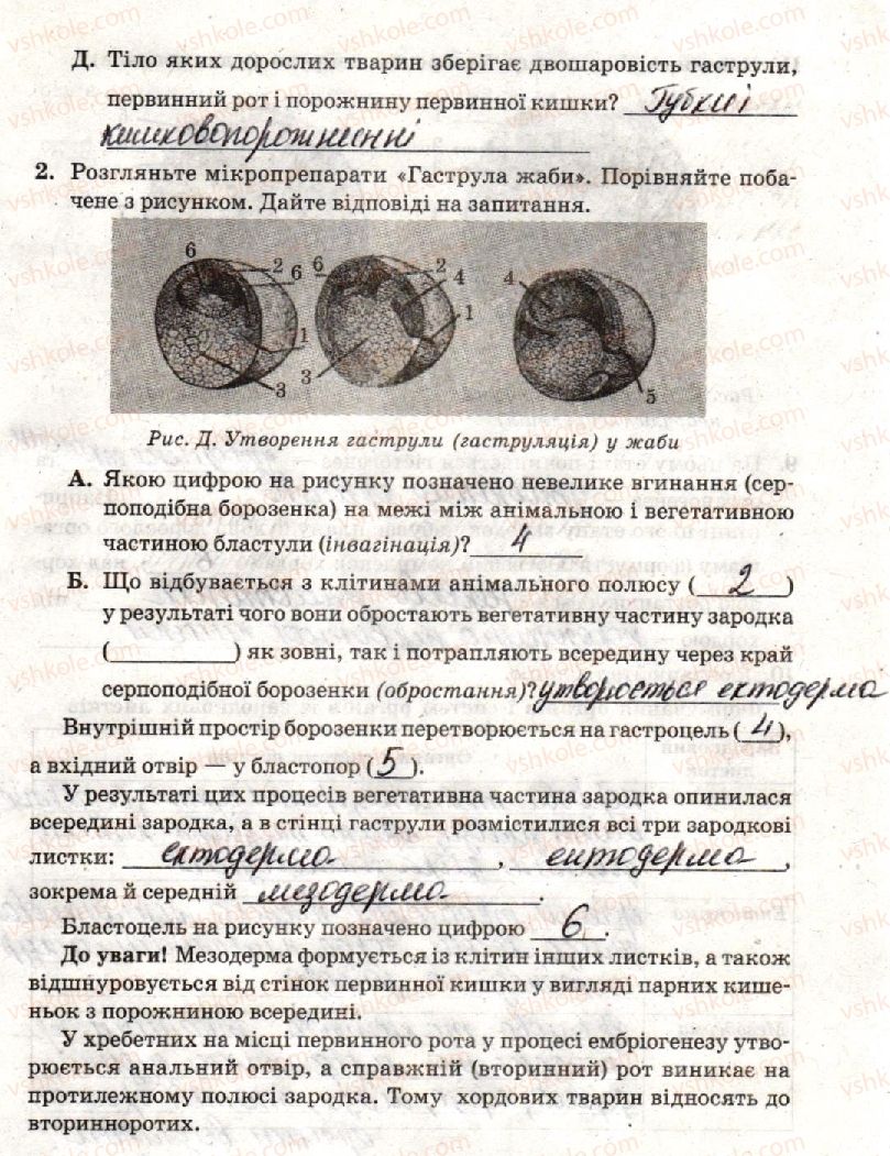 10-biologiya-to-salo-lv-derevinska-2018-zoshit-dlya-laboratornih-i-praktichnih-robit--laboratorna-robota-4-vivchennya-etapiv-embriogenezu-стр45.jpg