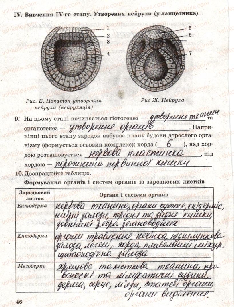 10-biologiya-to-salo-lv-derevinska-2018-zoshit-dlya-laboratornih-i-praktichnih-robit--laboratorna-robota-4-vivchennya-etapiv-embriogenezu-стр46.jpg