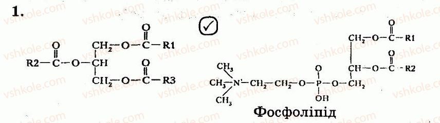 10-biologiya-ts-kotik-ov-taglina-2013-robochij-zoshit--rozdil-1-molekulyarnij-riven-organizatsiyi-zhittya-lipidi-1.jpg