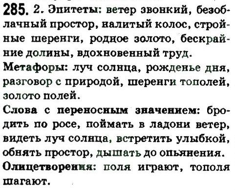 10-russkij-yazyk-an-rudyakov-tya-frolova-ei-bykova-2010--stil-hudozhestvennoj-literatury-kak-osobyj-funktsionalnyj-stil-285.jpg