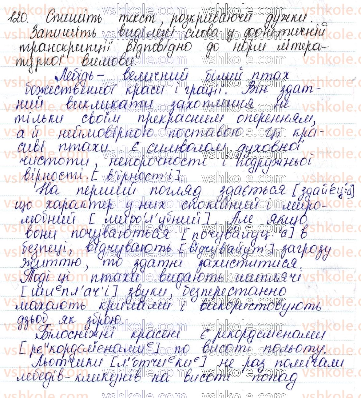 10-ukrayinska-mova-aa-voron-va-solopenko-2018--ukrayinska-orfoepiya-yak-uchennya-pro-sistemu-zagalnoprijnyatih-pravil-ukrayinskoyi-literaturnoyi-vimovi-16-osnovni-normi-suchasnoyi-literaturnoyi-vi120.jpg