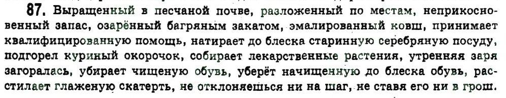11-russkij-yazyk-an-rudyakov-tya-frolova-ei-bykova-2011--obobschenie-i-sistematizatsiya-izuchennogo-slozhnye-sluchai-orfografii-87.jpg