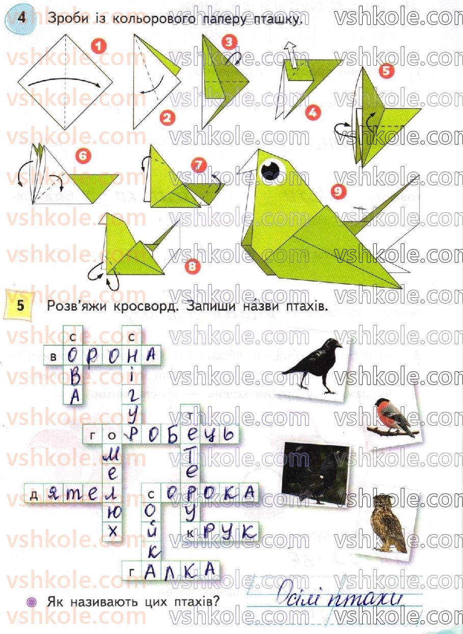 2-ya-doslidzhuyu-svit-tp-yeresko-2019-robochij-zoshit-do-pidruchnika-t-g-gilberg--storinki-41-63-стр55.jpg