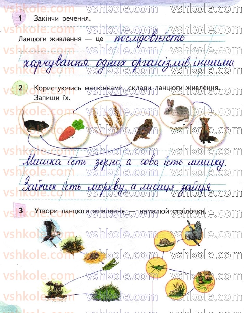 2-ya-doslidzhuyu-svit-tp-yeresko-2019-robochij-zoshit-do-pidruchnika-t-g-gilberg--storinki-41-63-стр58.jpg