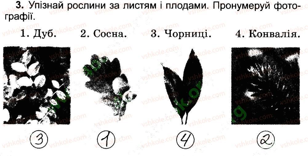 4-prirodoznavstvo-tg-gilberg-tv-sak-2015-robochij-zoshit--priroda-ukraini-mishani-lisi-polissya-3.jpg