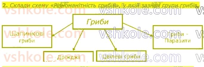 5-pravoznavstvo-tv-korshevnyuk-vi-bashtovij-2018--rozdil-3-zemlya-planeta-sonyachnoyi-sistemi-36-gribi-2.jpg