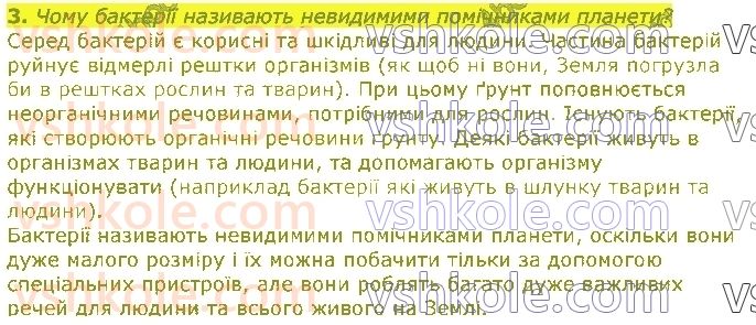 5-pravoznavstvo-tv-korshevnyuk-vi-bashtovij-2018--rozdil-3-zemlya-planeta-sonyachnoyi-sistemi-37-bakteriyi-3.jpg