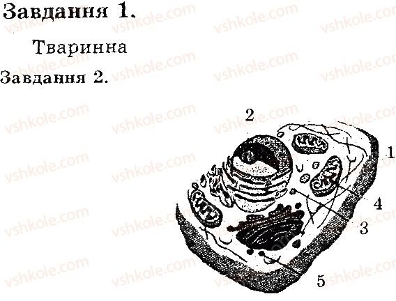 6-biologiya-iyu-slipchuk-2015-ekspres-kontrol--tema-1-klitina-budova-roslinnoyi-i-tvarinnoyi-klitini-В2.jpg