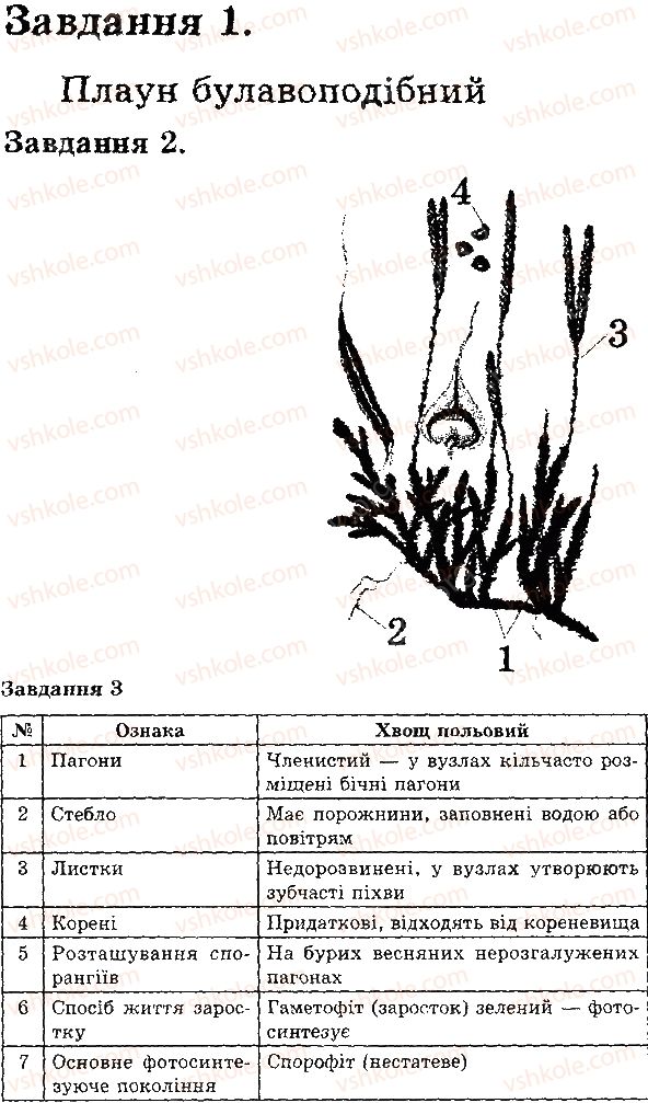 6-biologiya-iyu-slipchuk-2015-ekspres-kontrol--tema-4-riznomanitnist-roslin-plauni-hvoschi-В1.jpg