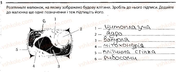 6-biologiya-km-zadorozhnij-2017-robochij-zoshit--tema-1-klitina-budova-klitini-5.jpg