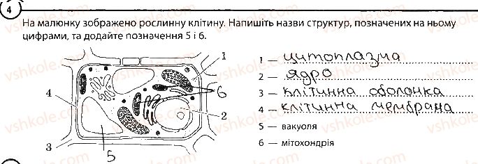 6-biologiya-km-zadorozhnij-2017-robochij-zoshit--tema-1-klitina-povtorennya-temi-klitina-variant-1-4.jpg