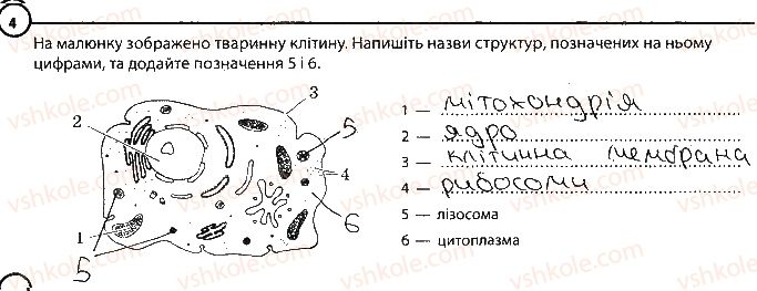6-biologiya-km-zadorozhnij-2017-robochij-zoshit--tema-1-klitina-povtorennya-temi-klitina-variant-2-4.jpg