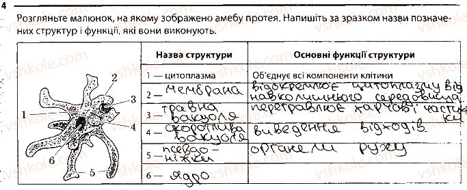 6-biologiya-km-zadorozhnij-2017-robochij-zoshit--tema-2-odnoklitinni-organizmi-odnoklitinni-tvarinopodibni-organizmi-4.jpg