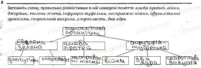 6-biologiya-km-zadorozhnij-2017-robochij-zoshit--tema-2-odnoklitinni-organizmi-odnoklitinni-tvarinopodibni-organizmi-8.jpg