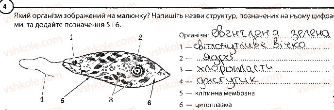 6-biologiya-km-zadorozhnij-2017-robochij-zoshit--tema-2-odnoklitinni-organizmi-povtorennya-temi-odnoklitinni-organizmi-variant-1-4.jpg