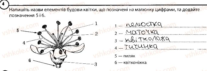 6-biologiya-km-zadorozhnij-2017-robochij-zoshit--tema-3-roslini-povtorennya-temi-roslini-variant-1-4-rnd9962.jpg