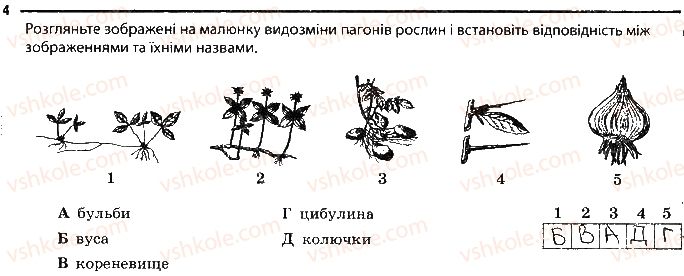 6-biologiya-km-zadorozhnij-2017-robochij-zoshit--tema-3-roslini-riznomanitnist-ta-vidozmini-pagoniv-i-listkiv-4.jpg
