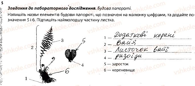 6-biologiya-km-zadorozhnij-2017-robochij-zoshit--tema-4-riznomanitnist-roslin-roslini-yaki-rozmnozhuyutsya-sporami-5.jpg