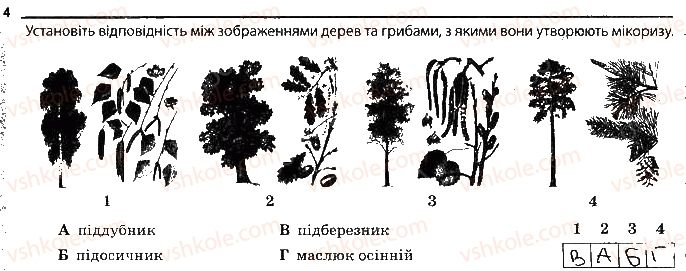 6-biologiya-km-zadorozhnij-2017-robochij-zoshit--tema-5-gribi-mikorizoutvoryuyuchi-gribi-ta-lishajniki-4.jpg