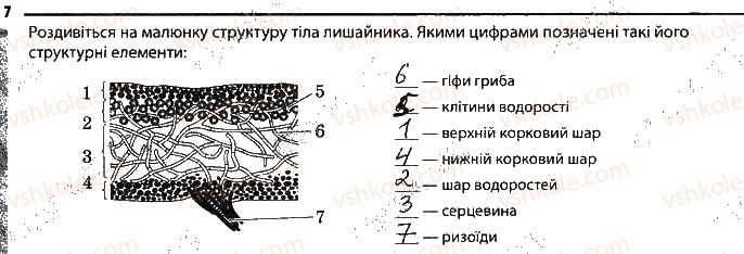 6-biologiya-km-zadorozhnij-2017-robochij-zoshit--tema-5-gribi-mikorizoutvoryuyuchi-gribi-ta-lishajniki-7.jpg
