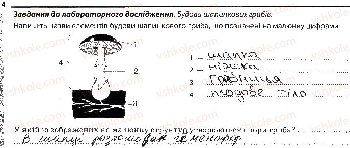 6-biologiya-km-zadorozhnij-2017-robochij-zoshit--tema-5-gribi-osoblivosti-budovi-gribiv-4.jpg