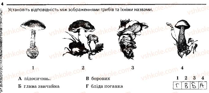 6-biologiya-km-zadorozhnij-2017-robochij-zoshit--tema-5-gribi-znachennya-gribiv-4.jpg