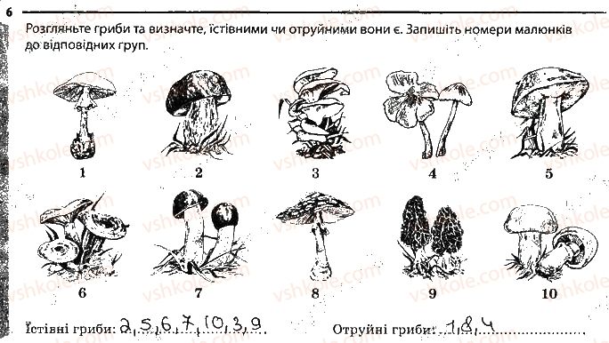 6-biologiya-km-zadorozhnij-2017-robochij-zoshit--tema-5-gribi-znachennya-gribiv-6.jpg