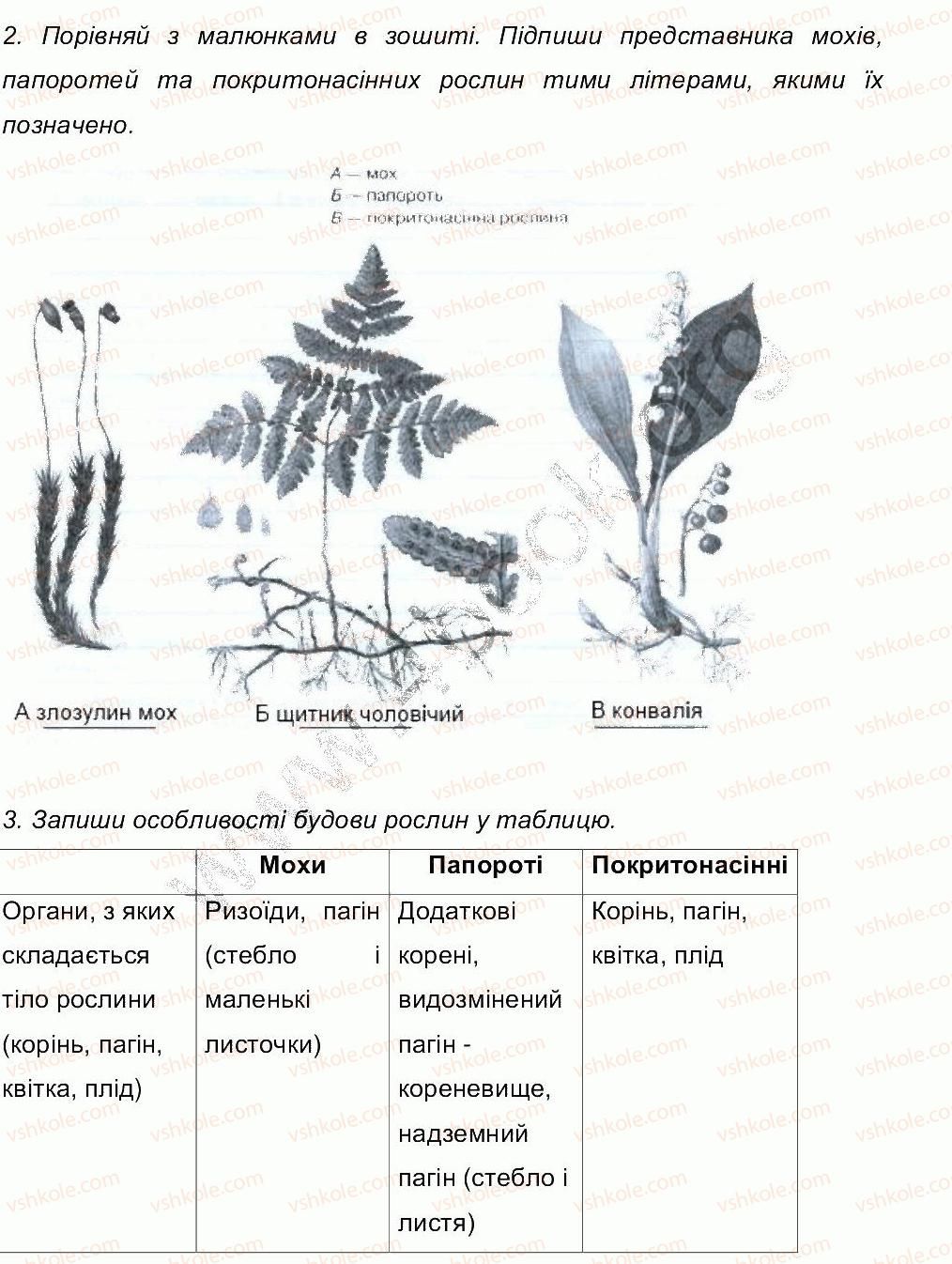 6-biologiya-oa-anderson-2014-robochij-zoshit--storinki-77-105-СТ80-rnd4011.jpg