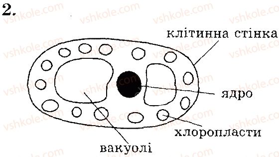 6-biologiya-pg-balan-ts-kotik-2014-zoshit-dlya-kontrolyu-znan--vstup-tema-1-klitina-a-zavdannya-vidkritogo-tipu-variant-1-2.jpg