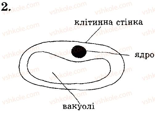 6-biologiya-pg-balan-ts-kotik-2014-zoshit-dlya-kontrolyu-znan--vstup-tema-1-klitina-a-zavdannya-vidkritogo-tipu-variant-2-2.jpg