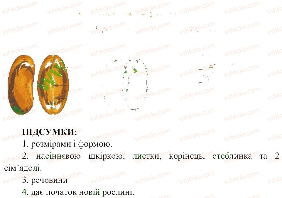 6-biologiya-pg-balan-ts-kotik-2014-zoshit-dlya-praktichnih--storinki-26-50-СТ31-rnd2206.jpg