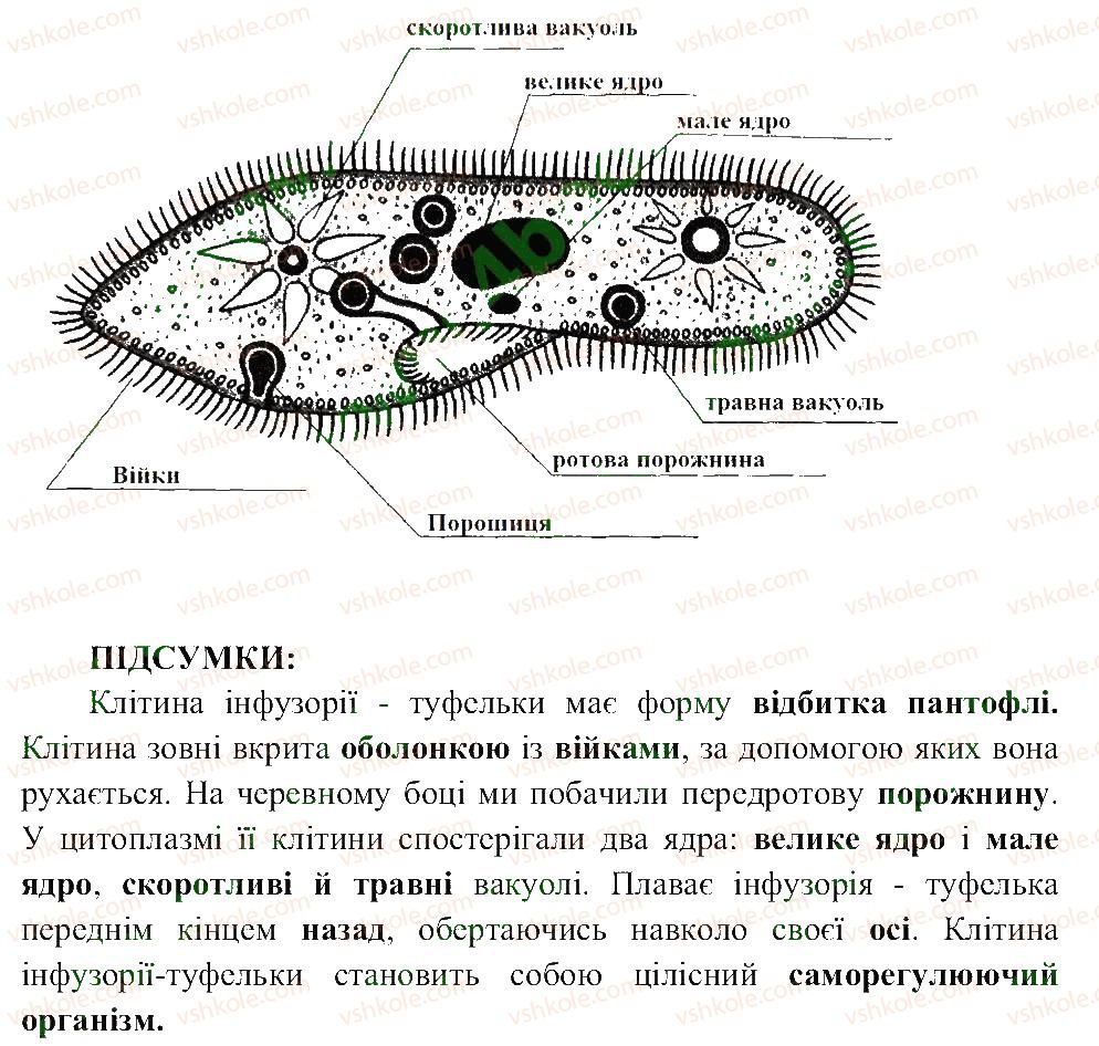 6-biologiya-pg-balan-ts-kotik-2014-zoshit-dlya-praktichnih--storinki-4-25-СТ12-rnd2787.jpg