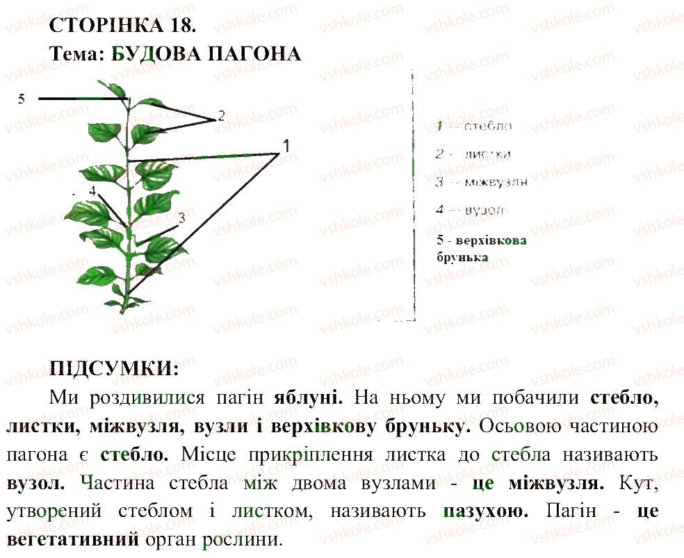 6-biologiya-pg-balan-ts-kotik-2014-zoshit-dlya-praktichnih--storinki-4-25-СТ18.jpg