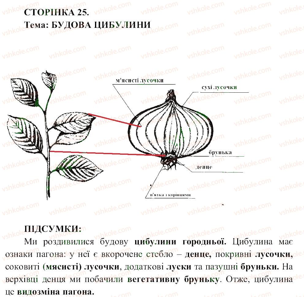 6-biologiya-pg-balan-ts-kotik-2014-zoshit-dlya-praktichnih--storinki-4-25-СТ25.jpg