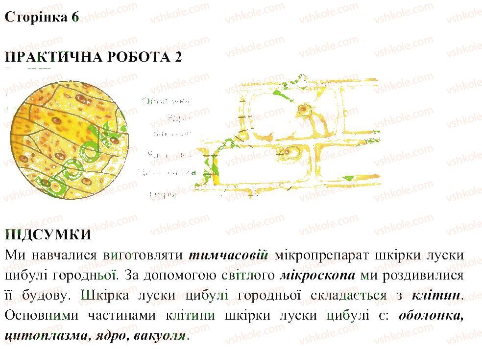 6-biologiya-pg-balan-ts-kotik-2014-zoshit-dlya-praktichnih--storinki-4-25-СТ6.jpg